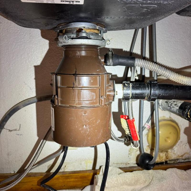 12 hp garbage disposal installed with new drain flange