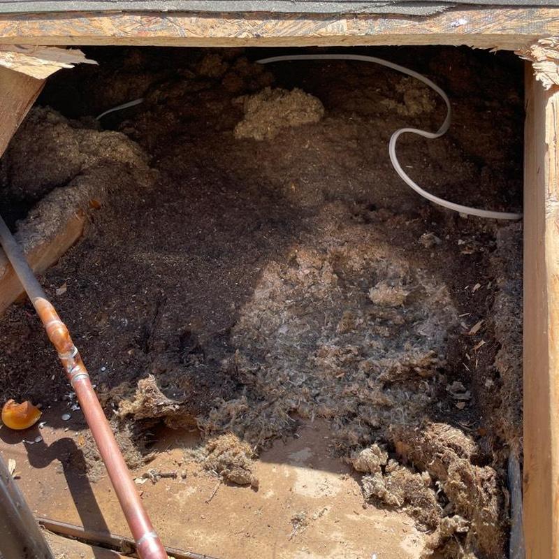 Copper pipe near roof plywood with damaged insulation