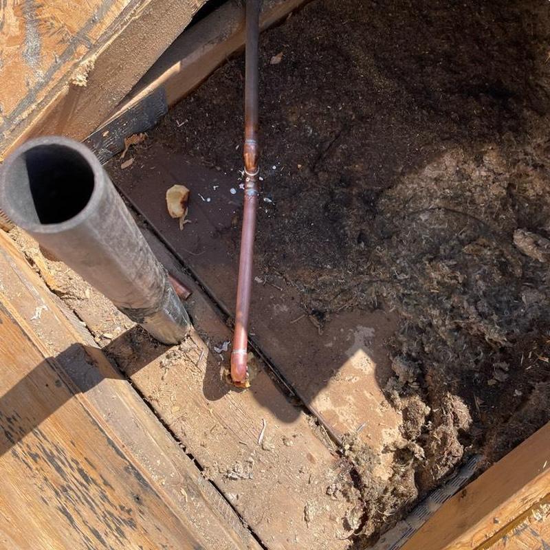 Copper pipe height adjustment near roof plywood