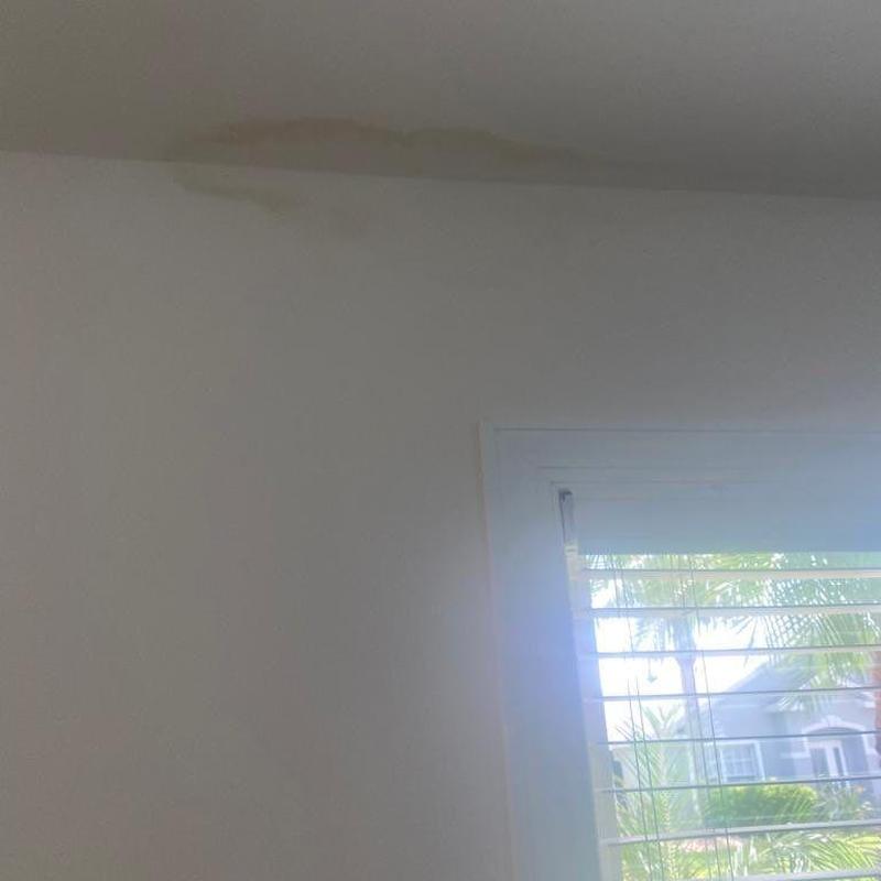 Ceiling water stain from shingle roof leak