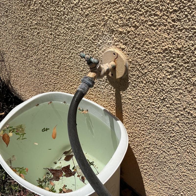 Outdoor hose bib with garden hose and water container Outdoor hose bib with garden hose and water container