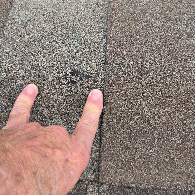 Asphalt roof shingles with hail damage spot