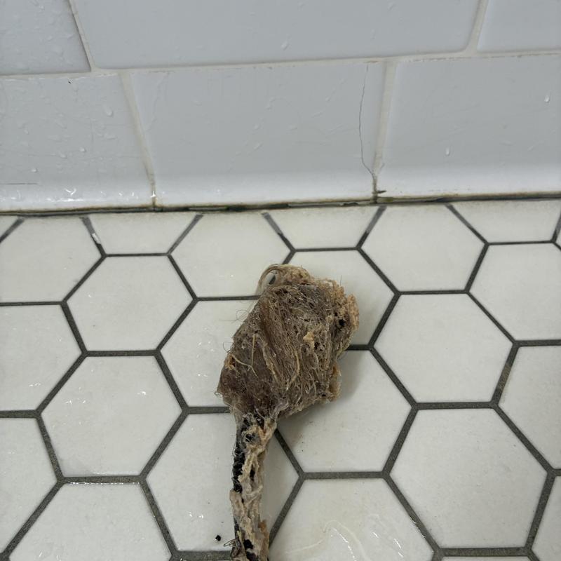 Shower drain clog hair buildup removed on tile floor Shower drain clog hair buildup removed on tile floor