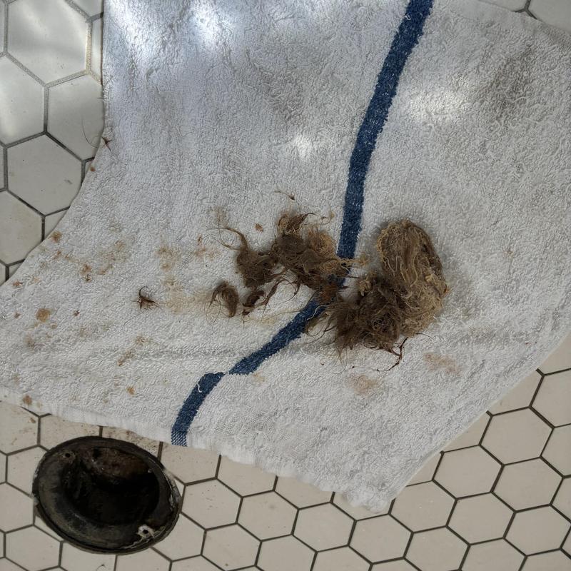 Shower drain hair clog removed on bathroom floor Shower drain hair clog removed on bathroom floor