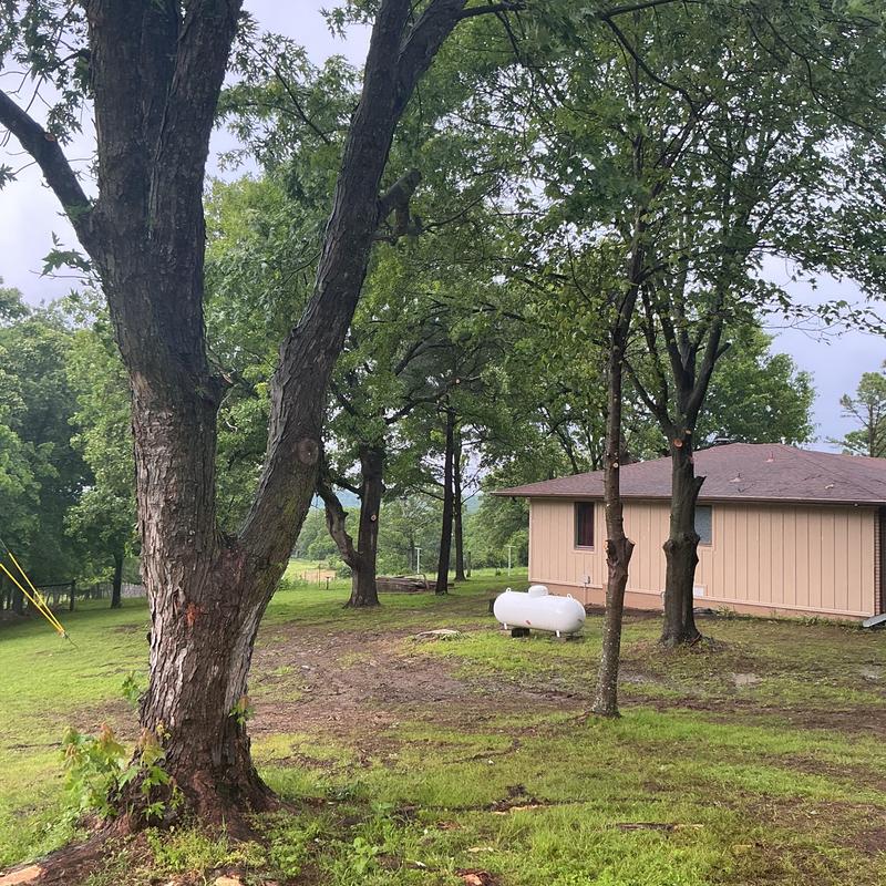 Tree canopy raising near residential home in Stuart, OK