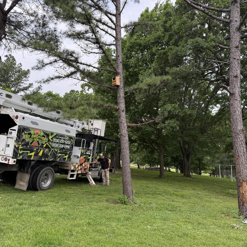 Bucket truck and tree service crew in grassy area