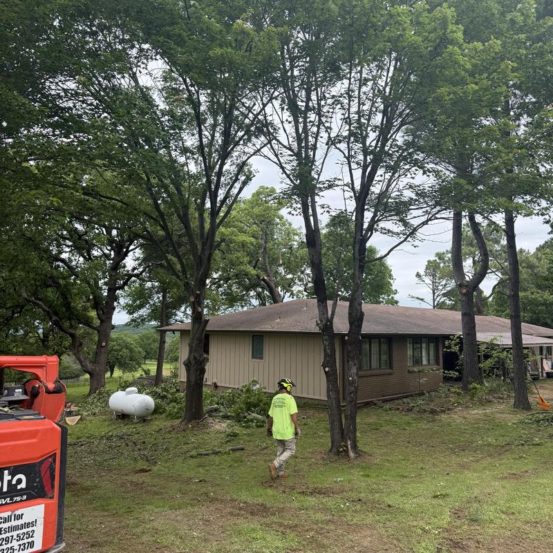Tree canopy raising near residential home with crew member