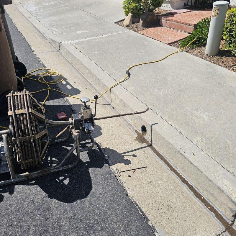 Outdoor drain line with root cleaning machine in driveway