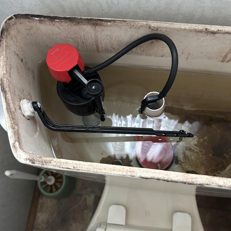 Toilet tank fill valve and flapper inside tank Toilet tank fill valve and flapper inside tank