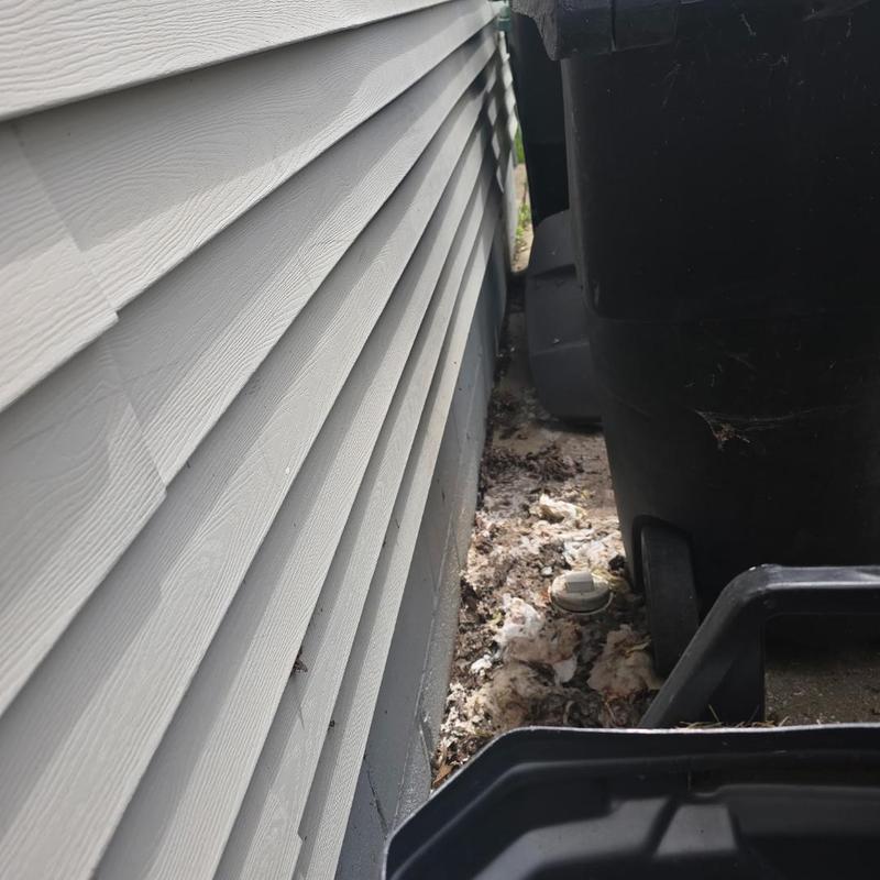 Sewer cleanout near house foundation with nearby trash bins