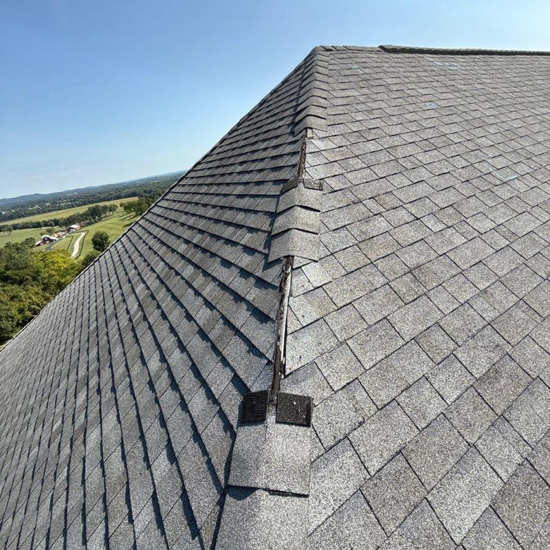Asphalt roof shingles with hail damage and missing granules