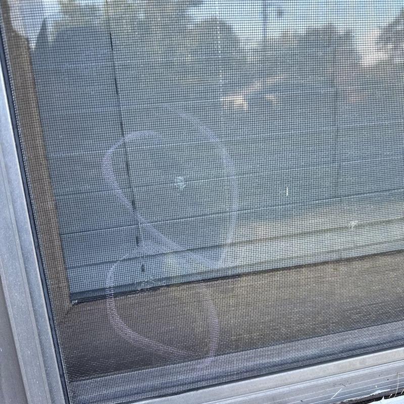 Window screen with small hole marked for repair