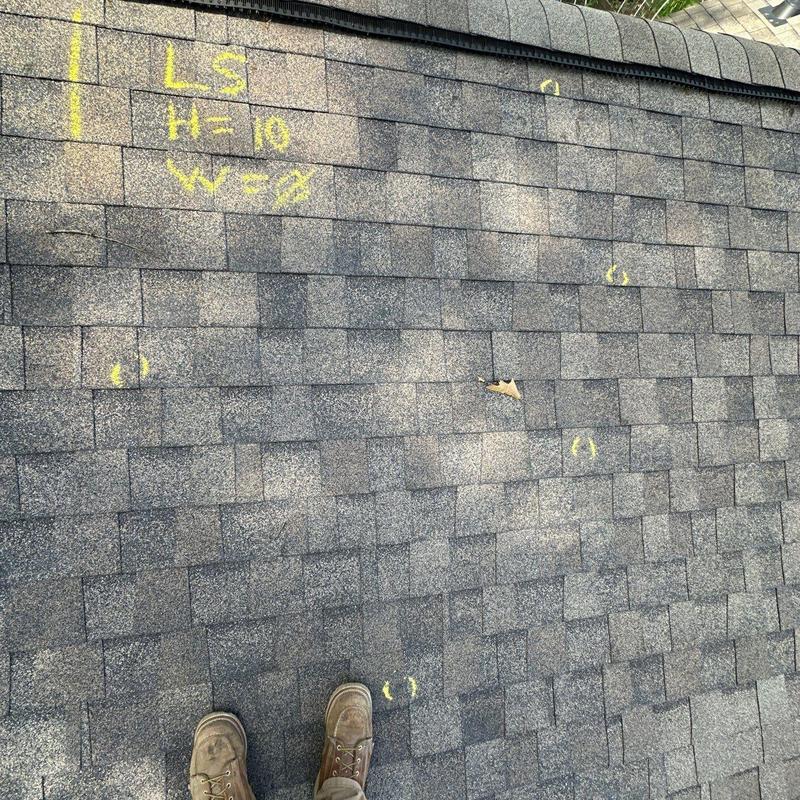 Asphalt shingle roof with hail damage markings