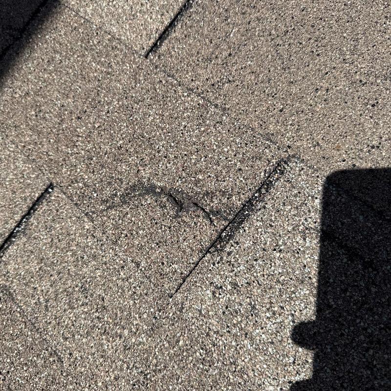 Asphalt shingle with hail damage on roof surface