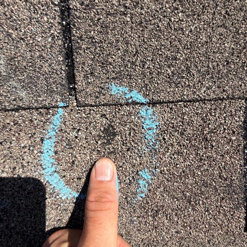 Asphalt shingle hail damage marked with blue chalk