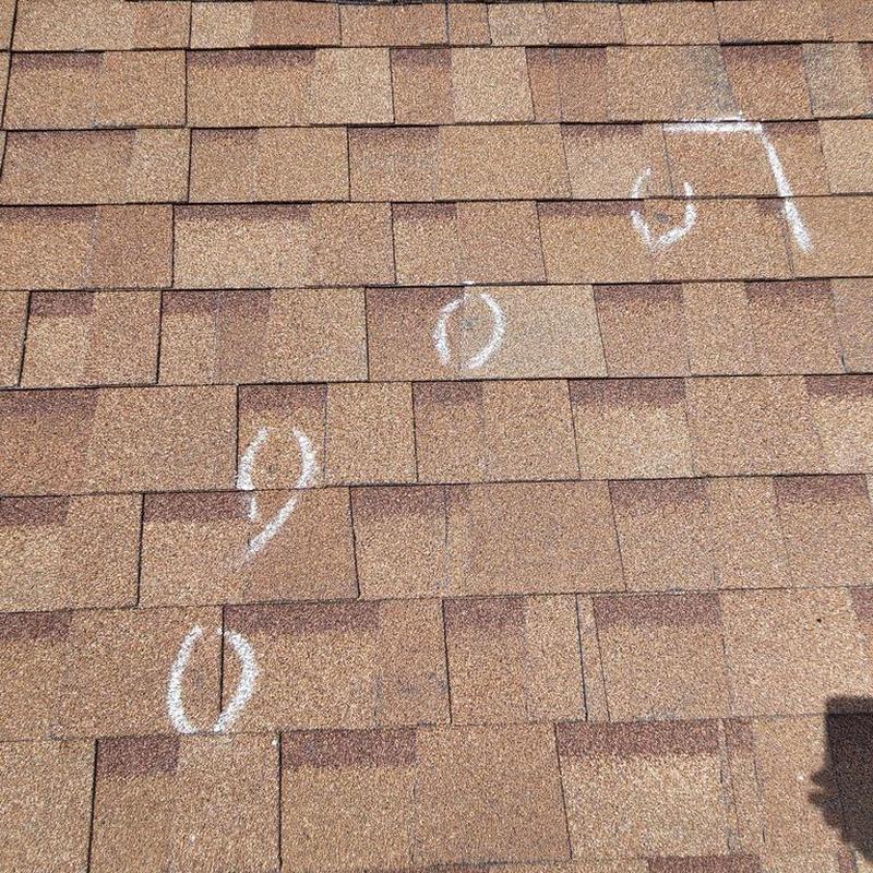 Asphalt shingle roof with chalk markings for inspection