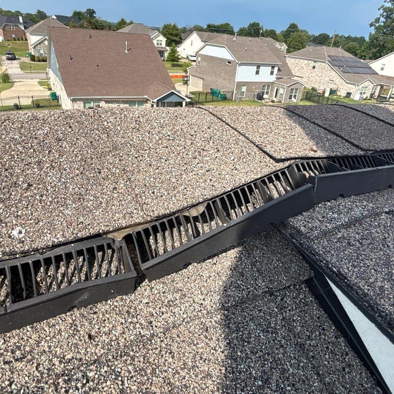 Roof ridge vent with granule loss and damage