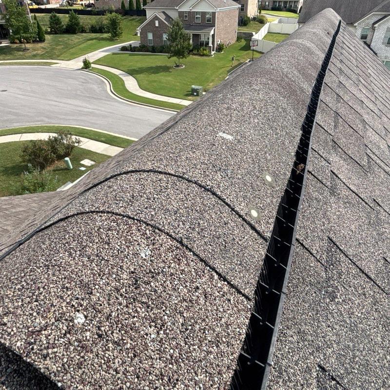 Roof ridge shingles with hail damage and granule loss
