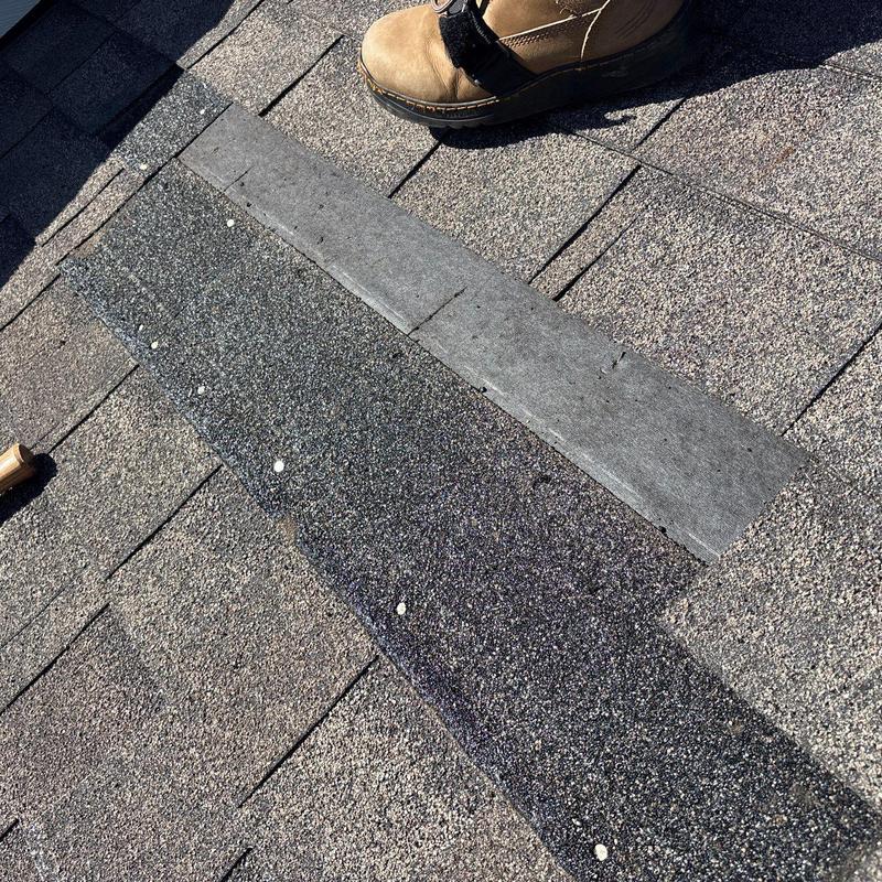 Asphalt roof shingles with granule loss inspection