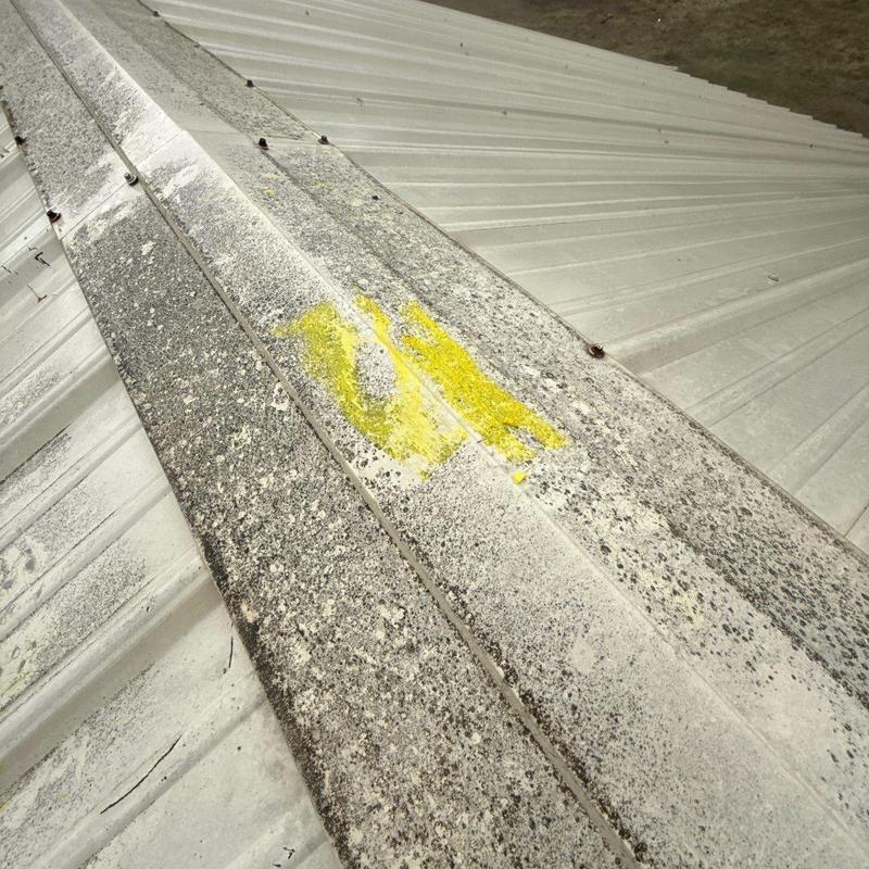Metal roof panels with hail damage markings