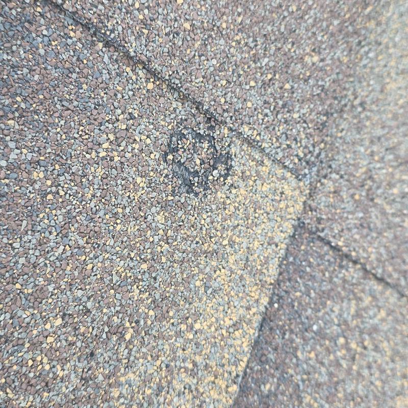 Asphalt roofing shingle with hail damage close-up