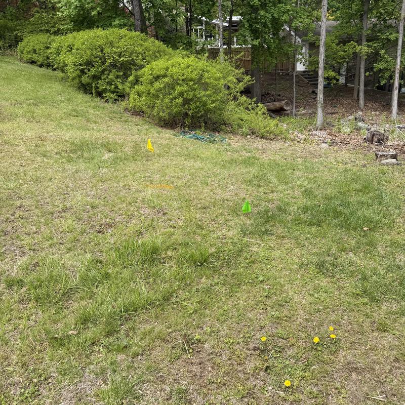 Main line excavation area marked with survey flags Main line excavation area marked with survey flags