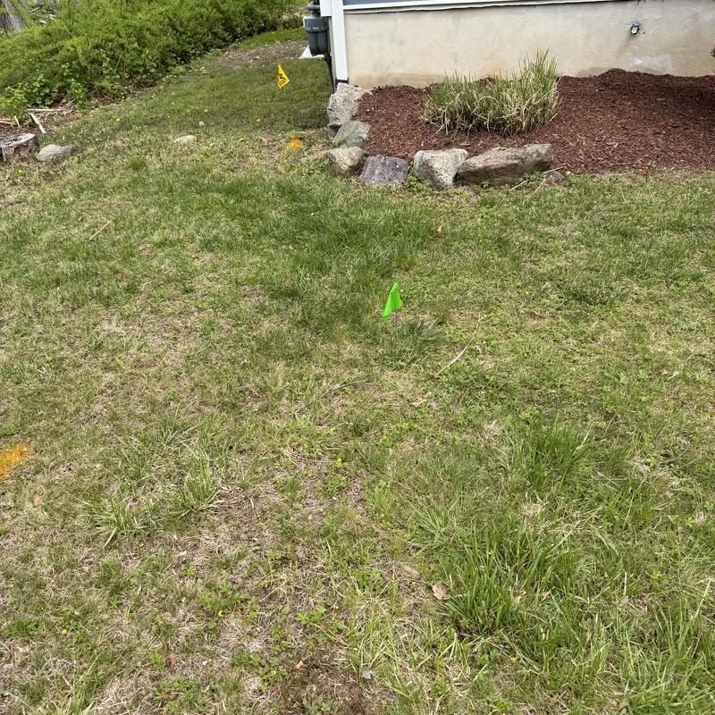 Main sewer line location marked in residential yard Main sewer line location marked in residential yard