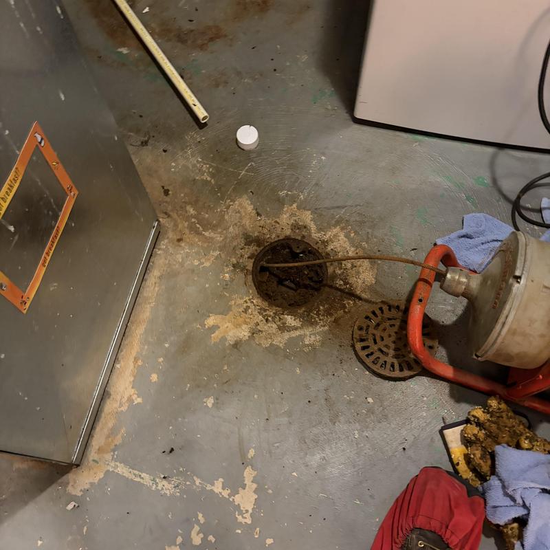 Floor drain snaking for clog removal in basement