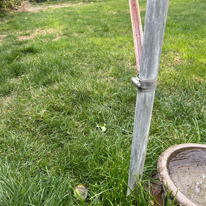 Bury hydrant leaking from spout in grassy yard