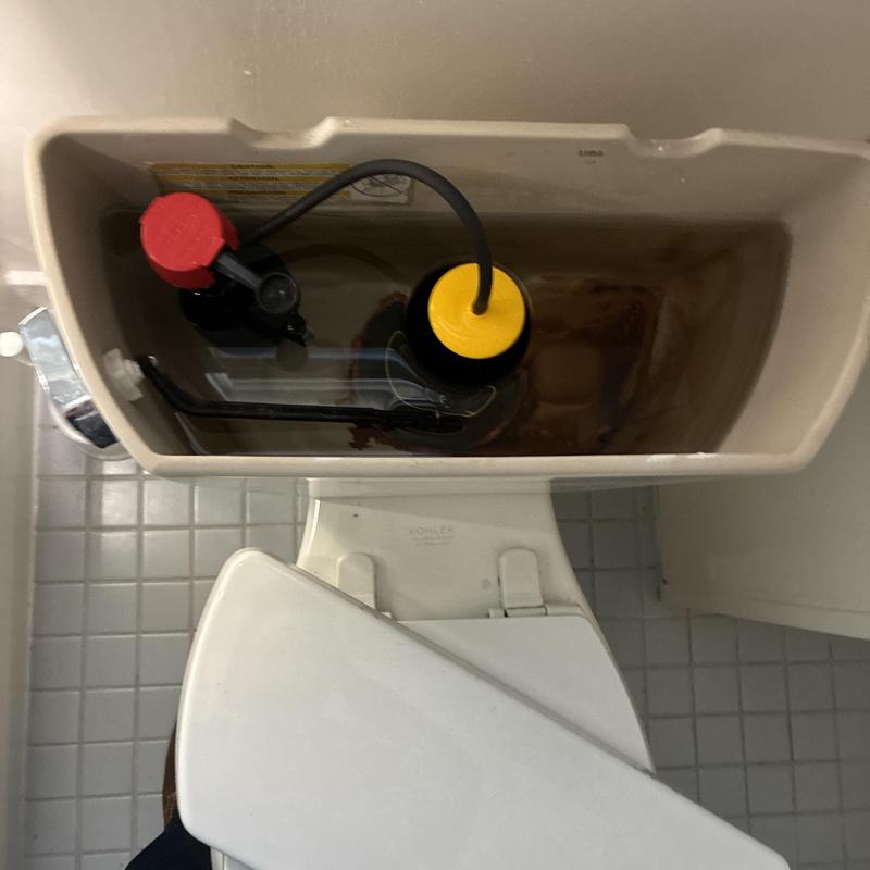 Toilet fill valve and canister seal replacement