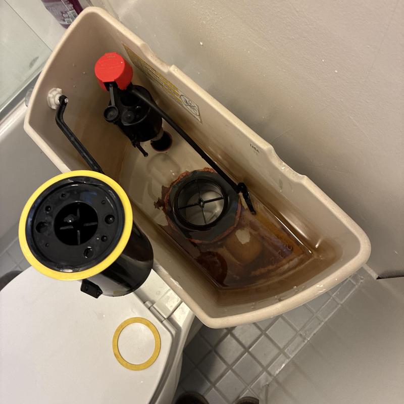 Toilet tank fill valve and canister seal replacement