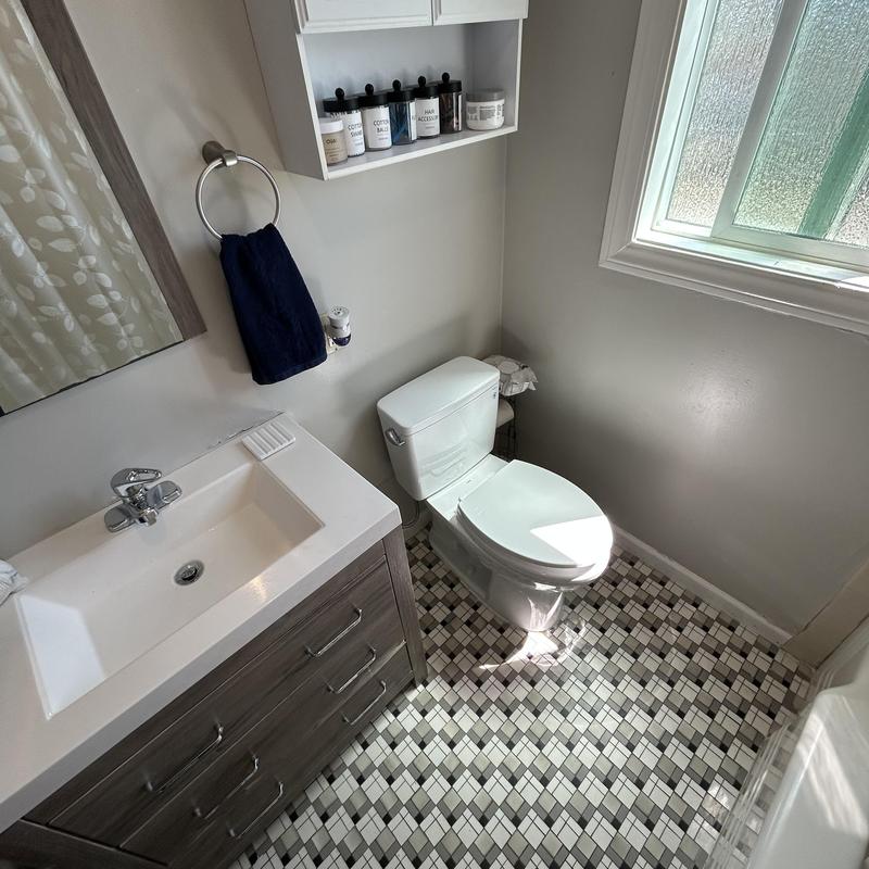 Toilet and under-sink plumbing with new supply lines