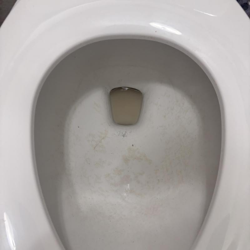 Toilet bowl with dirty water and stains inside Toilet bowl with dirty water and stains inside
