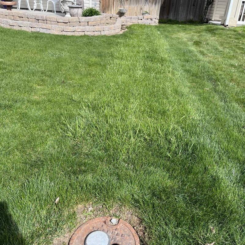 Water meter pit showing possible main line leak in yard