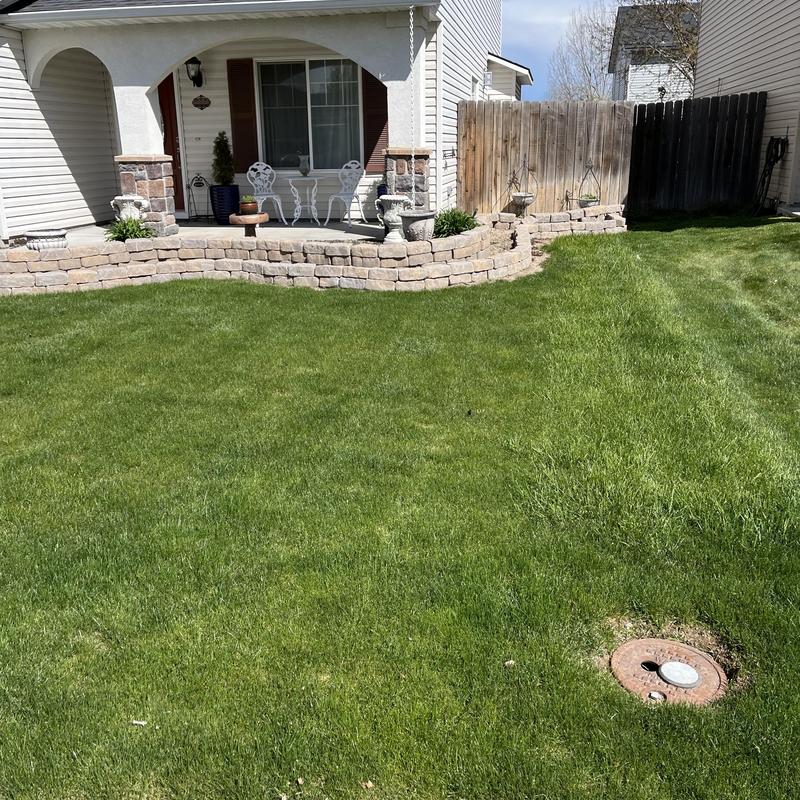 Water meter pit with standing water in front yard
