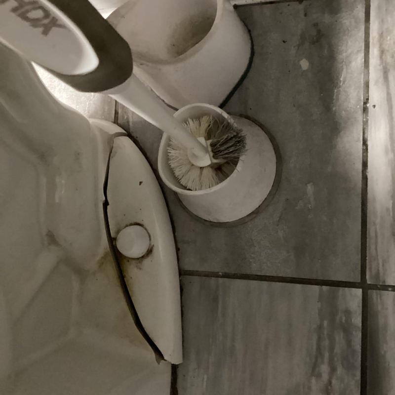 Cracked toilet base with brush and tile flooring