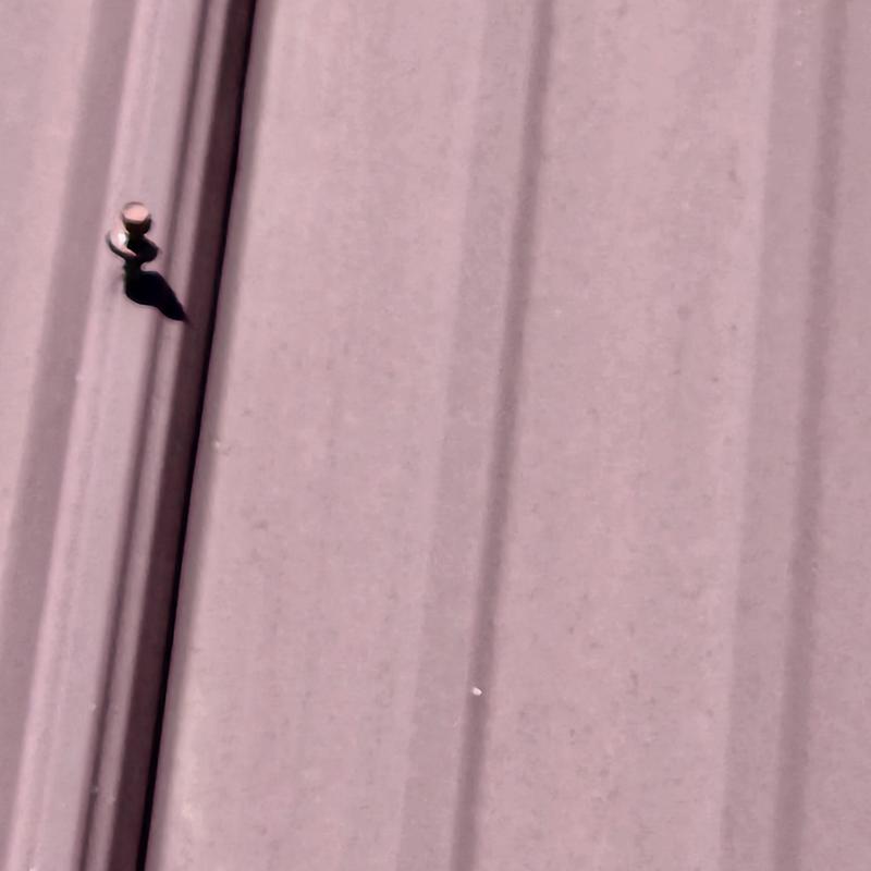 Metal roof panel with exposed fastener and shadow