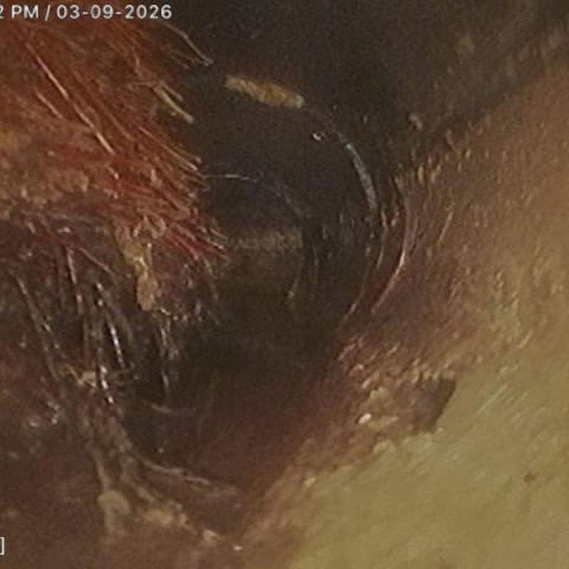 Sewer line camera showing root intrusion inside pipe