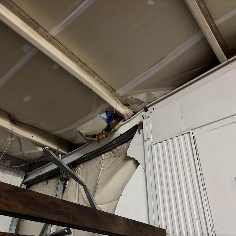 Metal building roof and wall with tree damage tear