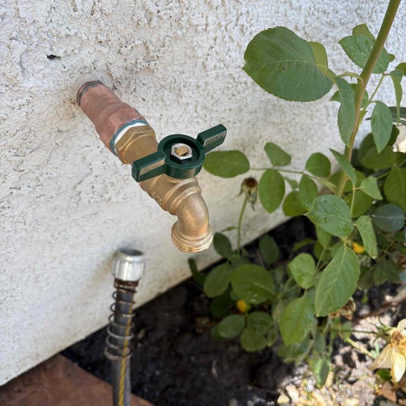 Outdoor water bib with green handle near garden plants