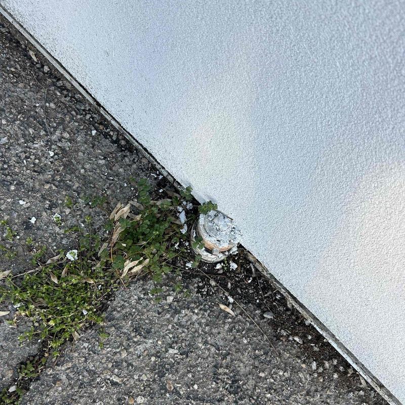 Mainline cleanout outside building with root debris