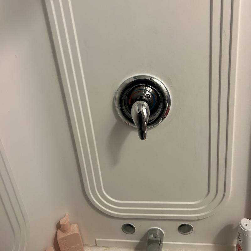 Shower valve handle on white shower wall panel