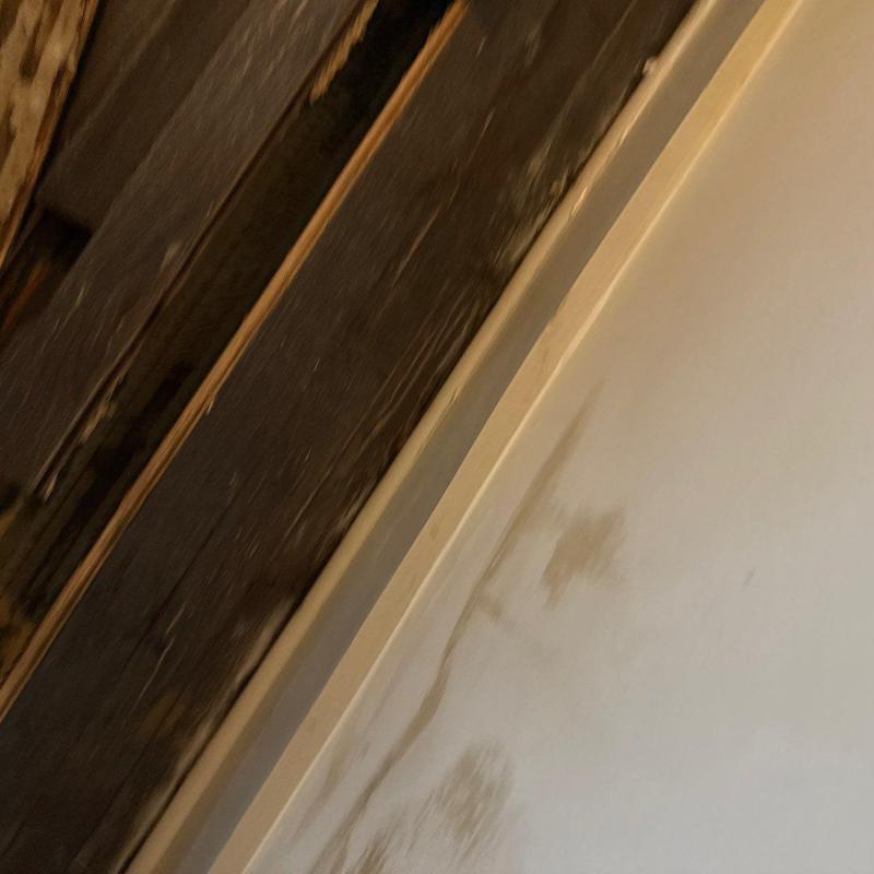 Interior wall water stains near wooden framing beams