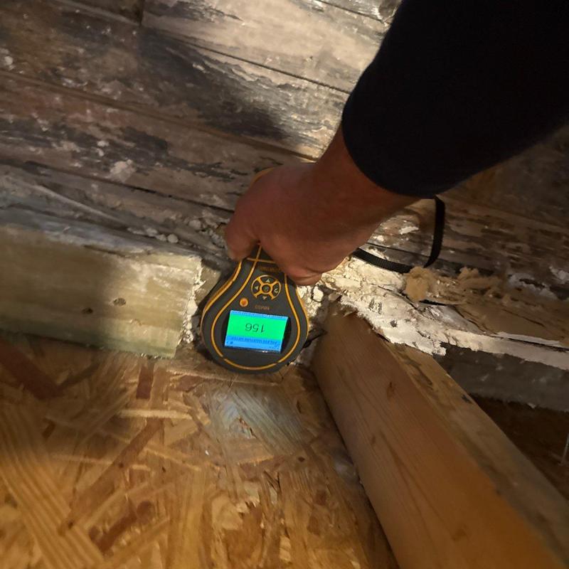 Moisture meter reading on wooden roof structure
