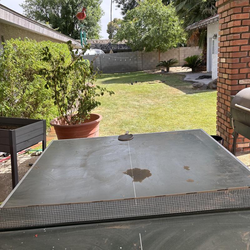 Outdoor ping pong table with net in backyard Outdoor ping pong table with net in backyard