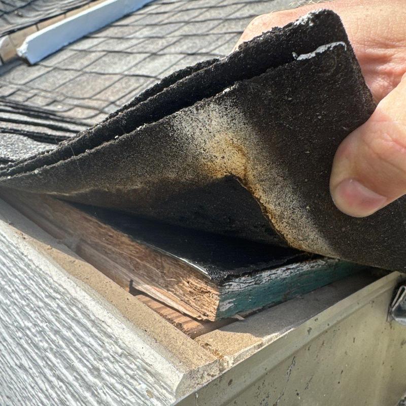 Roof shingles lifted showing underlying wood damage