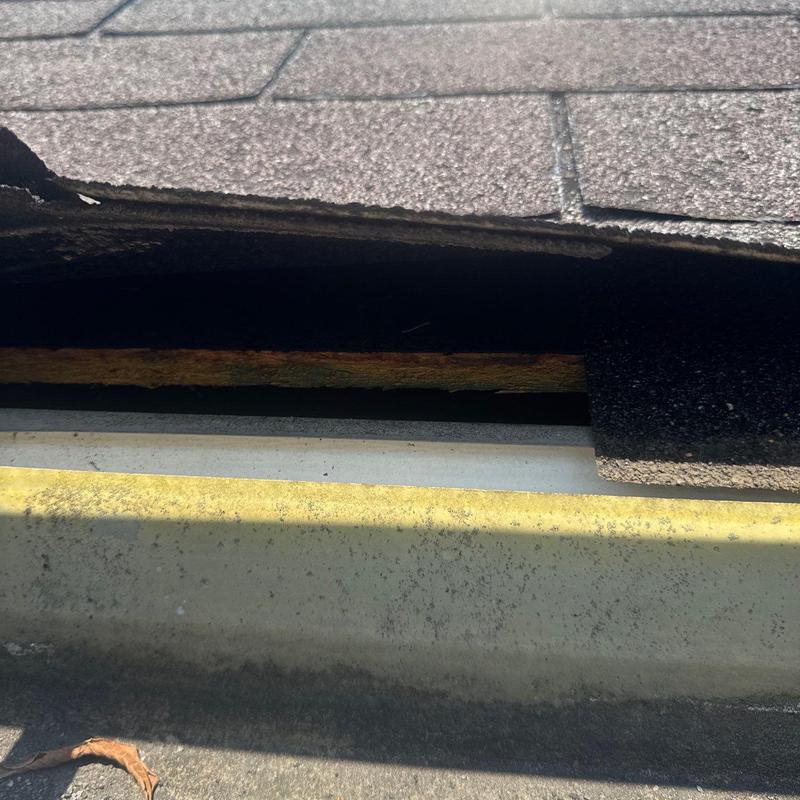 Roof shingles with visible hail damage and wear
