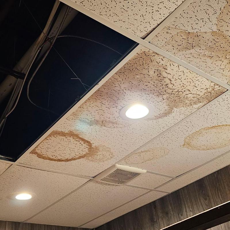 Ceiling tiles with extensive water damage and stains