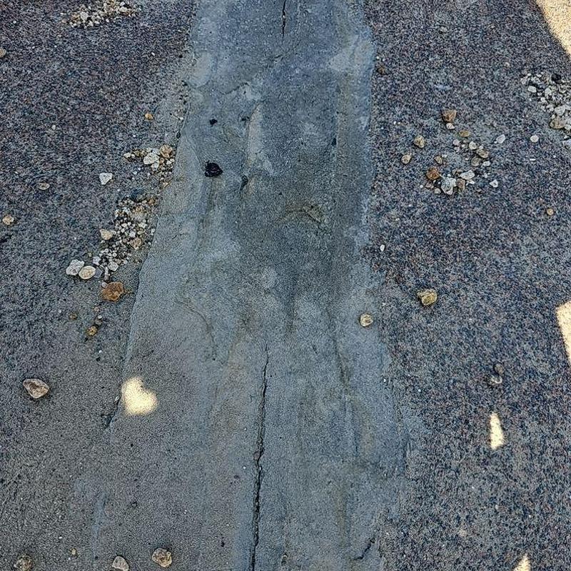 Modified torch-down roof with damaged seams and gravel