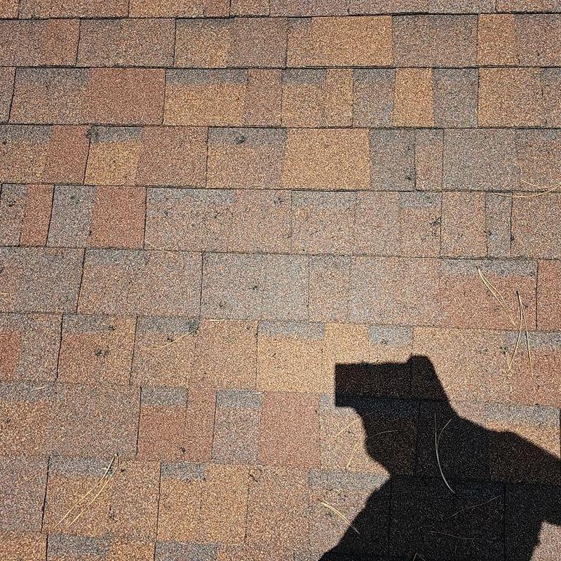 Asphalt shingle roof with visible hail damage spots Asphalt shingle roof with visible hail damage spots